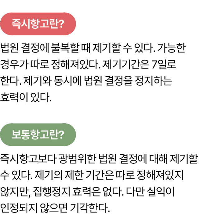 즉시항고와 보통항고의 차이. 그래픽=김대훈 기자