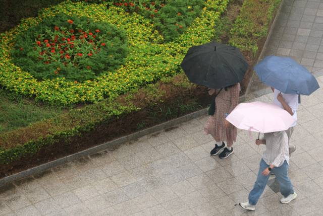 ▲ 시민들이 내리는 비에 우산을 쓰고 걷고 있다. 연합뉴스