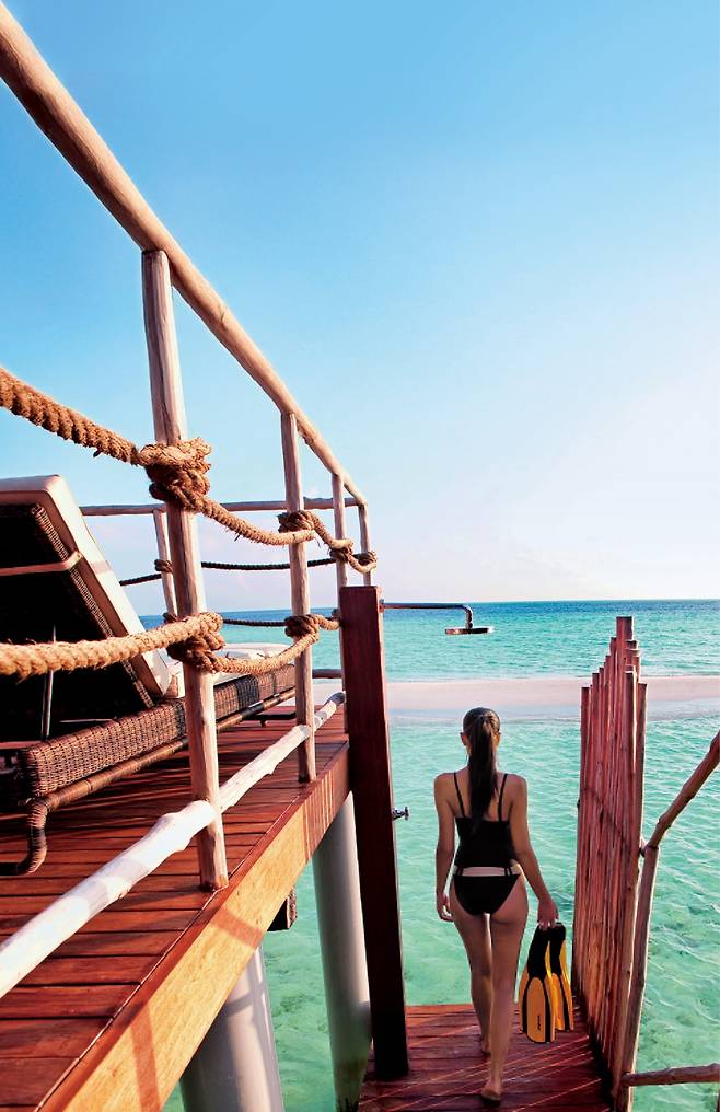 콘스탄스 무푸시