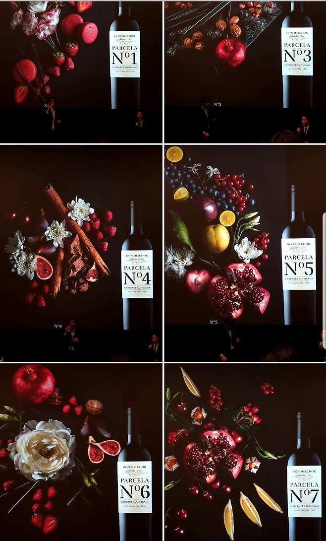 7개 파셀 캐릭터.