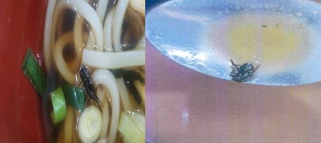 휴게소에서 판매하는 음식에 이물질이 나왔다. 정희용 의원실 제공