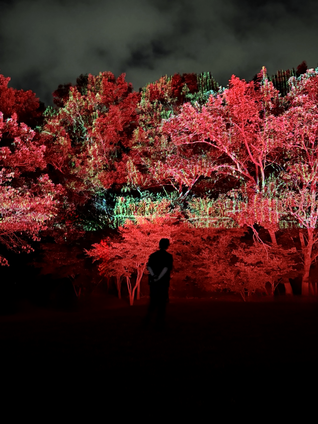 시네포레스트 : 동화의 한 장면 /제공=이진준스튜디오