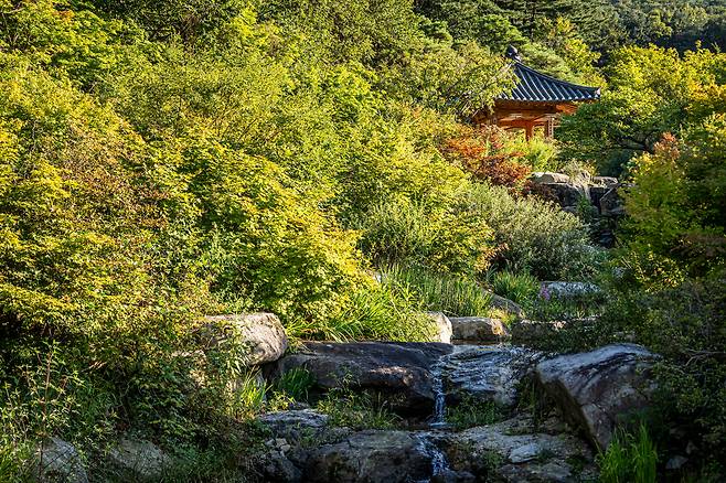 "돌 하나도 돌 장인이 바둑의 수를 두듯 꾸몄다"는 '메덩골정원'의 '한국 정원'. / 이신영 영상미디어 기자
