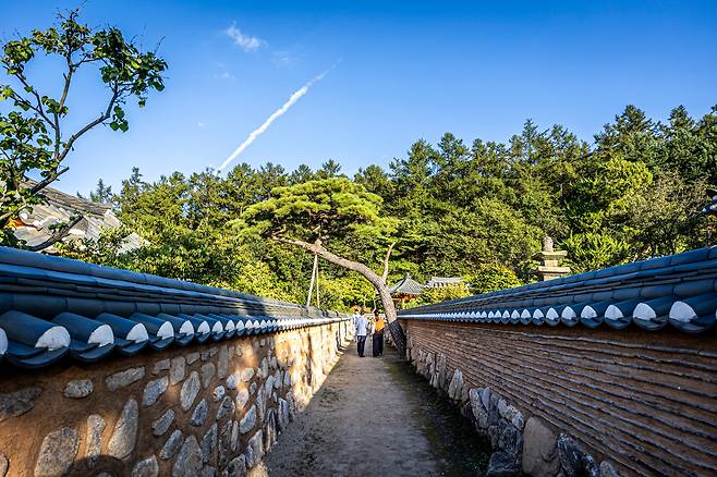 '메덩골정원'의 '한국 정원'은 전국 아름다운 풍경들을 소환한다. 어느 한옥마을 고샅길이 떠오르는 길목. / 이신영 영상미디어 기자
