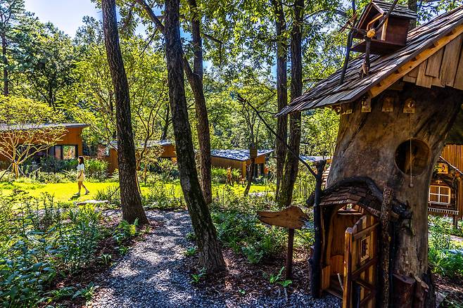 서울시 최초 자연휴양림인 '수락 휴'는 동화 속 마을 같다. ''햇살정원', '하늘정원' 일대엔 지역 목공예 작가가 만든 목공 작품이 포토존 역할을 톡톡히 한다. / 이신영 영상미디어 기자