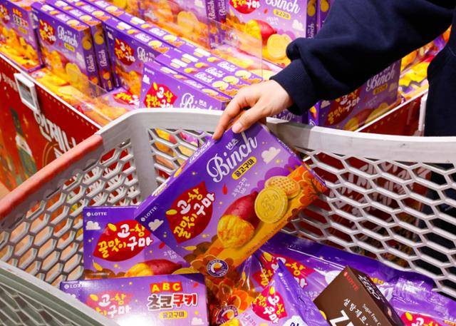 서울 한 대형마트에서 소비자가 롯데웰푸드 고창 고구마 시리즈를 구매하고 있다. 롯데웰푸드 제공