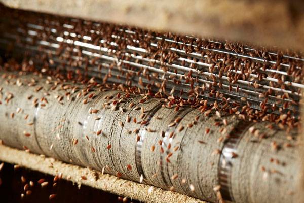 대두, 저지방 요거트, 아마씨, 닭가슴살에도 단백질이 풍부하게 들었다./사진=클립아트코리아