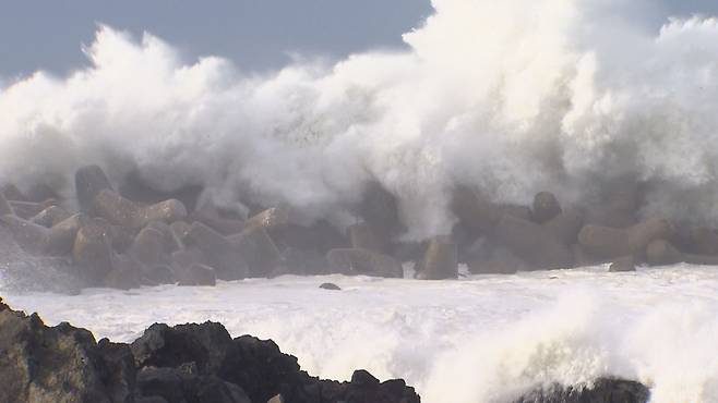 사진은 기사 내용과 관련 없음