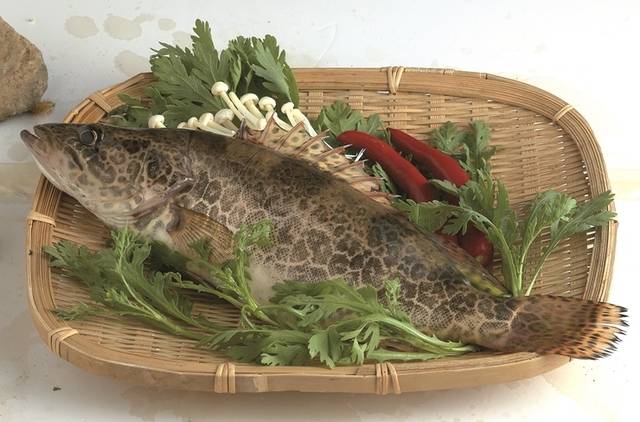 기사의 이해를 돕기 위한 자료 이미지로 직접적 연관은 없습니다. 클립아트코리아