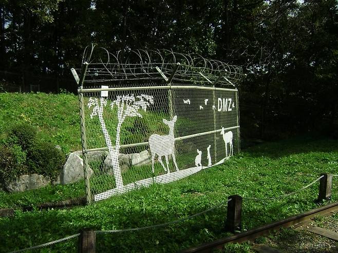 ​DMZ / 사진 = 언스플래쉬