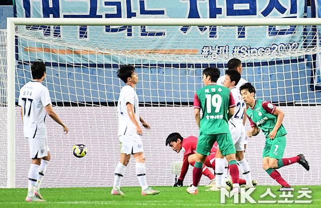 마사. 사진=김영구 기자