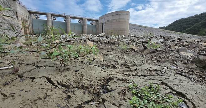 9월14일 강릉 지역 87%의 생활용수를 공급하는 오봉저수지. 물 밖으로 드러난 맨땅이 쩍쩍 갈라져 있다. ⓒ연합뉴스