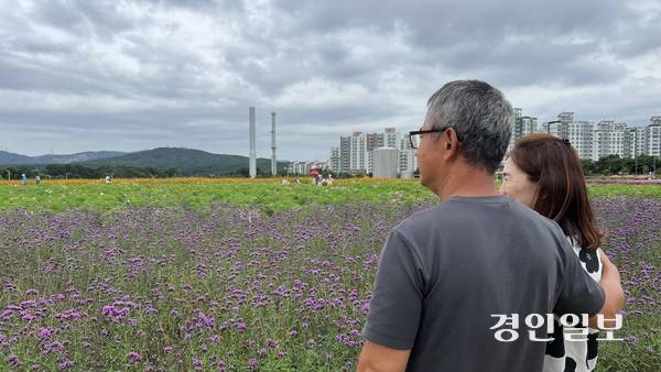 강원도 철원군에서 천만송이 천일홍 축제장을 찾은 이용운(57)·박지현(57) 부부. 조심스레 사진을 찍자고 얘기를 꺼내니 못내 쑥쓰러움을 드러내며 포즈를 취하고 있다. 2025.9.19 /조수현기자 joeloach@kyeongin.com