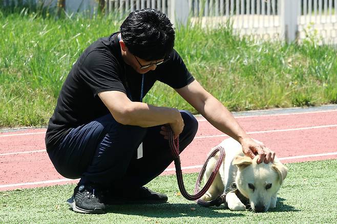 ▲ 심용섭 주무관이 연평도 평화안보수련원 운동장에서 풍산개 '햇님'이를 쓰다듬고 있다.&nbsp;&nbsp;/이재민 기자 leejm@incheonilbo.com