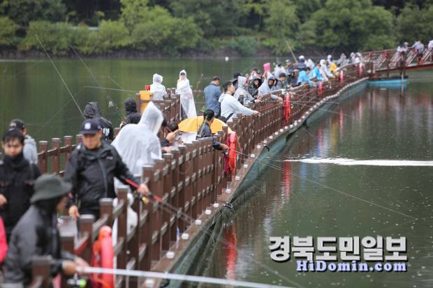 비가 오는 가운데도 조사들이 외래어종 낚시에 열중하고 있다.사진=유재영 기자