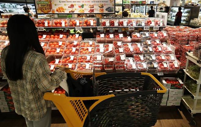 추석 자료사진.뉴스1