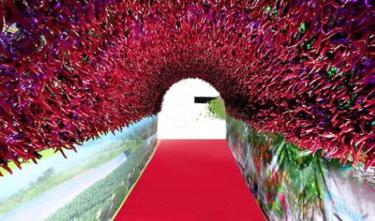 청양고추구기자축제 / 사진=청양군청 사이트