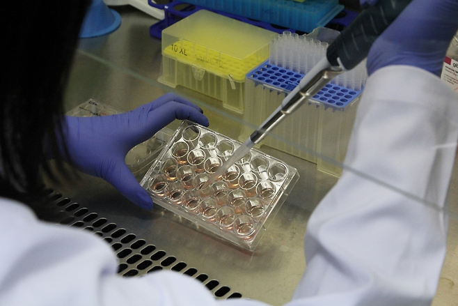 기초과학연구원 한국바이러스기초연구소 연구진이 바이러스 연구를 수행하고 있다. (사진은 기사 내용과 관련 없음) [IBS 제공]