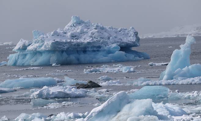 지난 3월 28일(현지시간) 그린란드 누크의 피오르드에 얼음 덩어리들이 떠 있다.[로이터]
