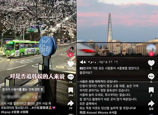 중국인들이 서울 여행을 다녀온 뒤 SNS에 '서울병' 해시태그와 함께 남긴 게시물. 틱톡