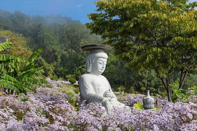 개미취가 흐드러지게 핀 봉천사 부처님 석상.