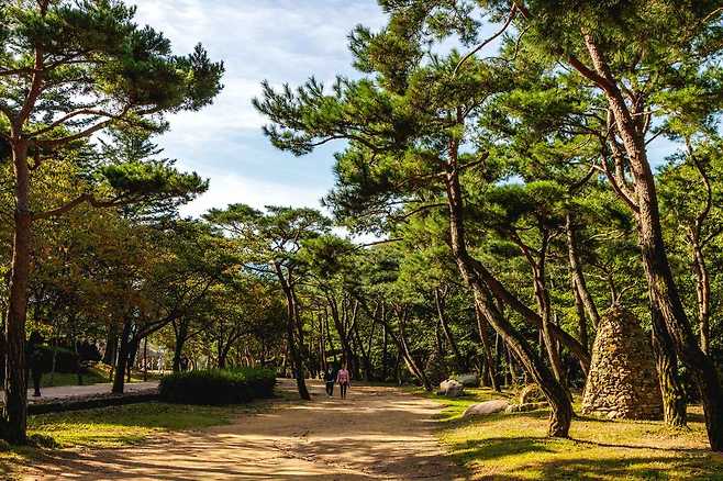 문경새재의 고갯길로가는 초입.