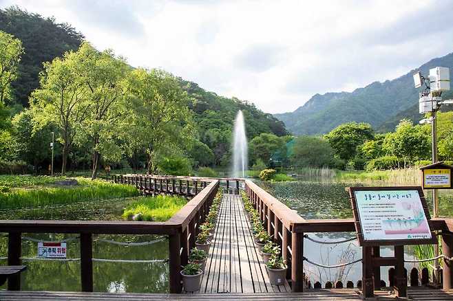 싱그러운 자연이 일품인 문경새재자연생태공원.