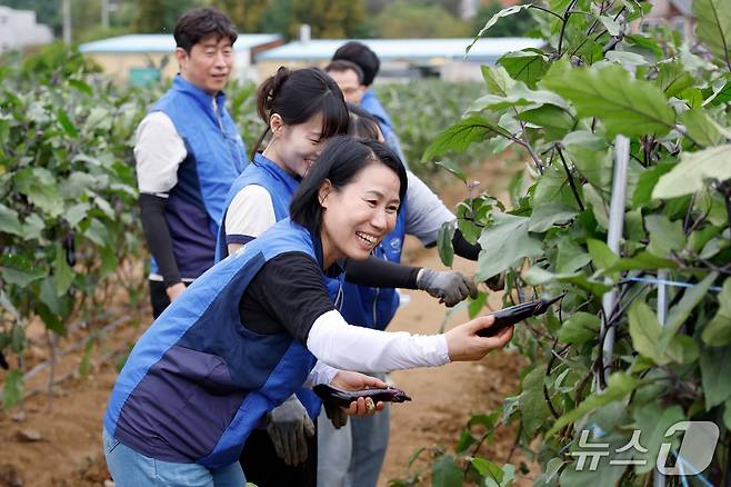 서울교통공사 직원들이 가지를 수확하고 있다.(서울교통공사 제공)