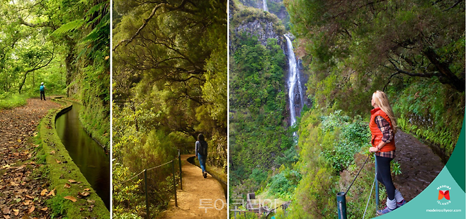마데이라&nbsp; 자연/사진-포르투갈 로드쇼 발표 자료 발췌&nbsp;