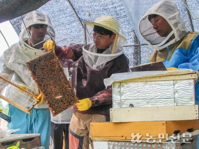 꿀 작황 합동 조사에 나선 국립농업과학원 양봉과 직원들.