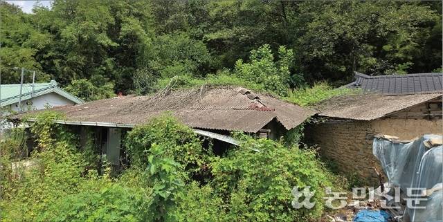 대구 달성군 도로 옆에 방치된 빈집의 슬레이트 지붕 모습.