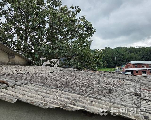 경북 성주군 수륜면의 낡은 슬레이트 지붕 모습.