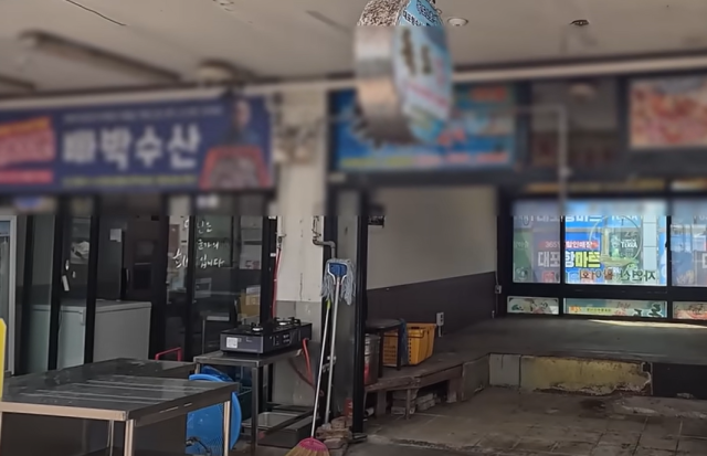 유튜브 여우대장