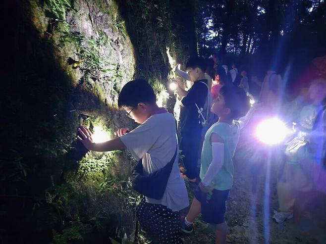 ▲'와글와글 놀이터, 여름밤 숲산책' 활동 모습. /사진제공=더정원의뜰