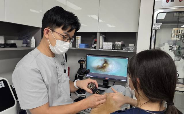 이세원 대구 바른동물의료센터 원장이 강아지 귀를 내시경을 통해 살펴보고 있다.바른동물의료센터 제공