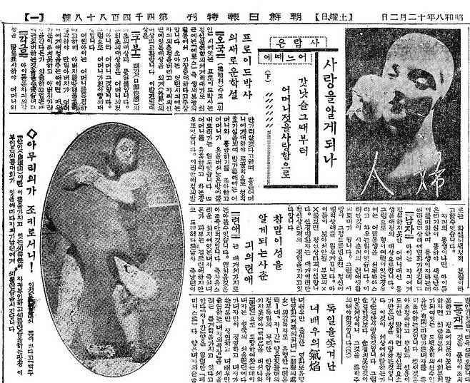 1933년 12월 2일자 조간 5면. '프로이드 박사의 새로운 학설'