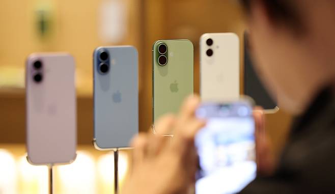 애플의 스마트폰 '아이폰17' 기본 모델. /뉴스1