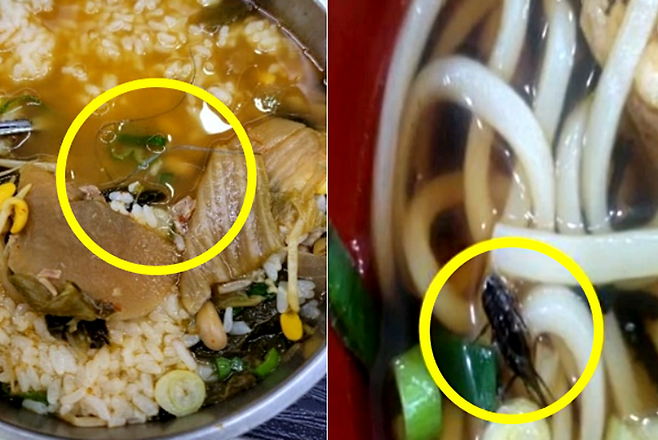 ⓒ정희용 의원실