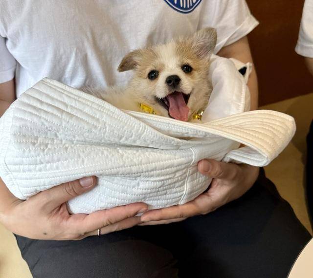 이 웃음이 사람을 살린답니다~