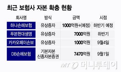 최근 보험사 자본 확충 현황/그래픽=윤선정