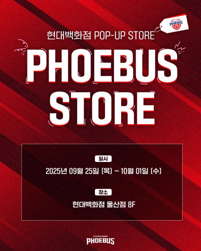 PHOEBUS STORE./현대모비스
