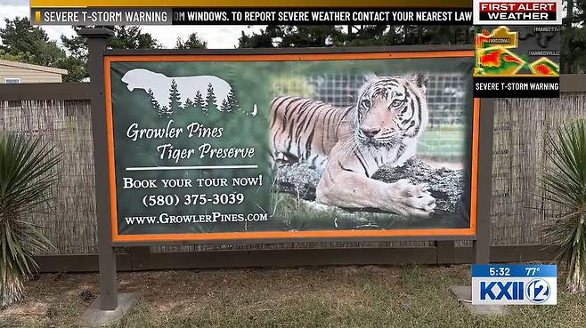 그로울러 파인스 호랑이 보호구역 [KXII 보도화면 캡처]