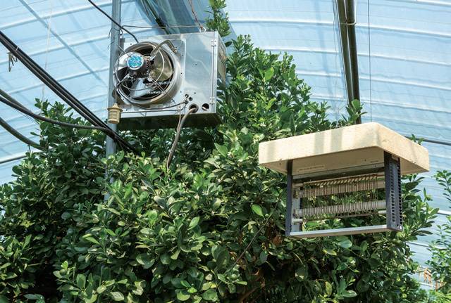 겨울철 내부 온도를 13℃ 이상으로 유지하기 위해 활용하는 난방시설.