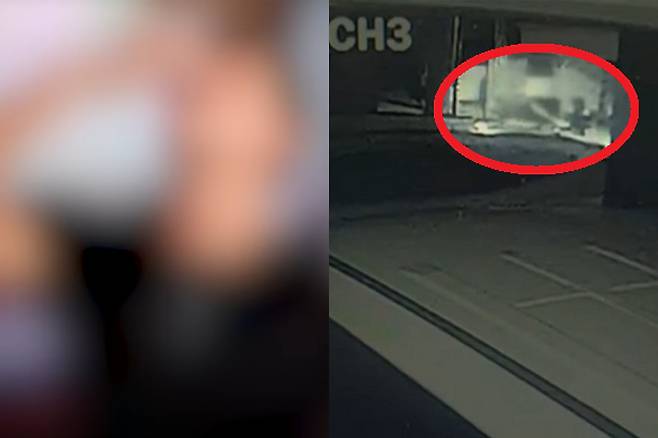 165만명의 구독자를 보유한 유명 유튜버(왼쪽)가 지난 21일 새벽 한 여성의 손을 잡고 경찰을 피해 도망가는 모습. 연합뉴스 자료화면·MBN 보도화면 캡처