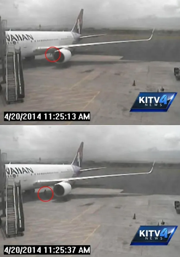 2014년 미국 캘리포니아 산호세발 하와이안 항공기 바퀴에 매달려 하와이까지 총 5시간 넘게 비행한 15세 소년 야히아 압디가 스스로 바퀴 랜딩기어 격납고에서 걸어나오는 모습. 공항 CCTV 캡처