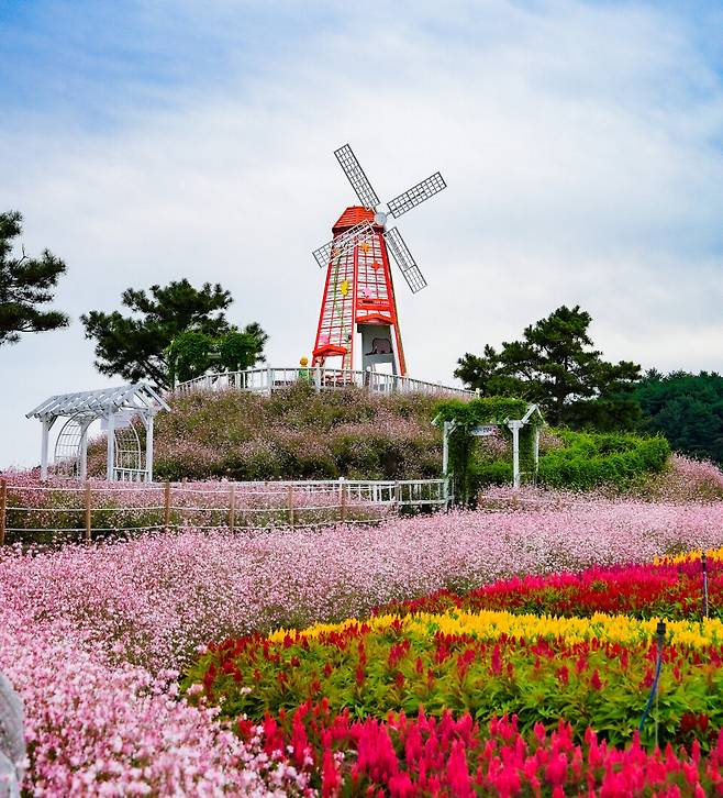 어린왕자 전망대, 높은 지대에 있어 올라가면 꽃밭 풍경을 한눈에 담을 수 있다