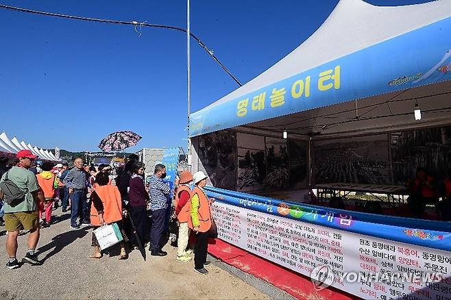 고성통일명태축제 행사장 '북적북적' [연합뉴스 자료사진]