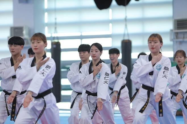 용인대학교 태권도학과 학생들의 모습. 사진=용인대학교