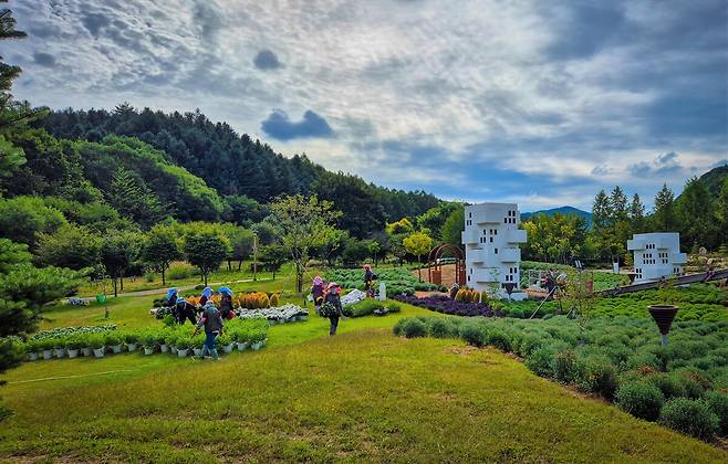 봉화 국립백두대간수목원 전경. 봉자페스티벌 축제 준비로 분주하다. /백두대간 수목원 제공