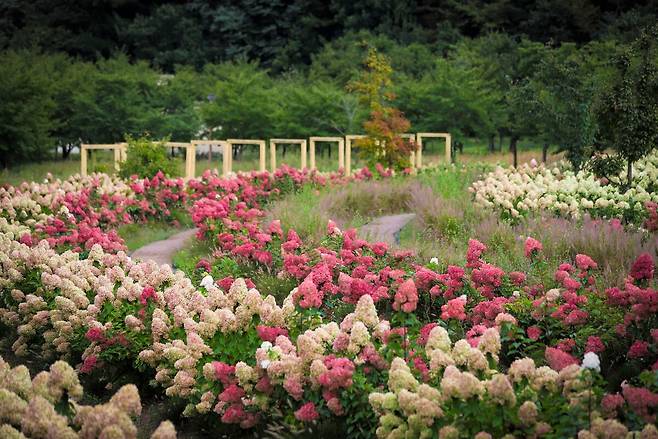 백두대간 수목원 모습. /백두대간수목원 제공